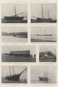 The Effects of the Recent Gale by English Photographer