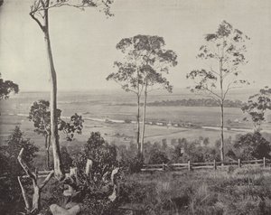 The Emu Plains