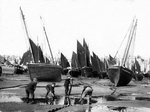 The Fishing Fleet in St Ives Harbour by English Photographer