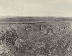 The Green Hills Farm by English Photographer