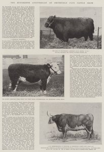 The Hundredth Anniversary of Smithfield Club Cattle Show