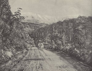 The Huon Road