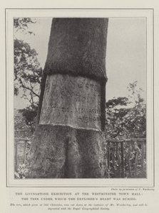 The Livingstone Exhibition at the Westminster Town Hall, the Tree under which the Explorer