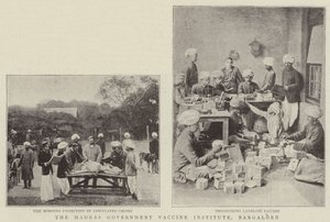 The Madras Government Vaccine Institute, Bangalore by English Photographer