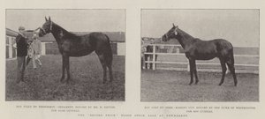 The Record Price Blood Stock Sale at Newmarket