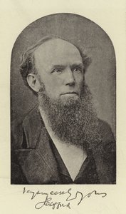 Rev J Clifford, DD by English Photographer