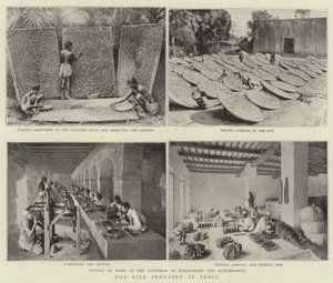 The Silk Industry in India