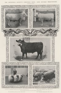 The Smithfield Society
