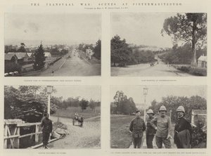 The Transvaal War, Scenes at Pietermaritzburg