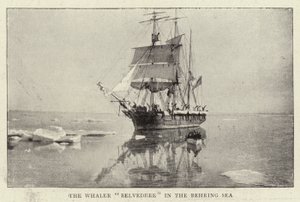 The Whaler Belvedere in the Behring Sea by English Photographer