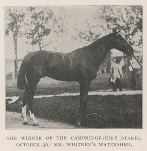 The Winner of the Cambridgeshire Stakes, 30 October, Mr Whitneys Watershed by English Photographer