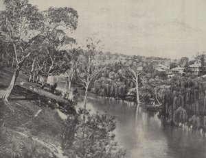 The Yarra at Studley Park