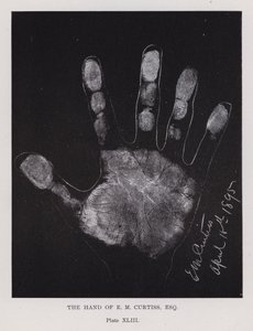 The hand of E M Curtiss by English Photographer