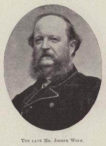 The late Mr Joseph Wolf by English Photographer