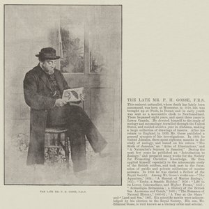 The Late Mr P H Gosse, FRS by English Photographer