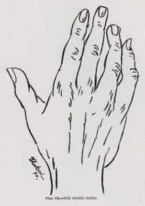 The Mixed Hand by English Photographer
