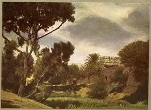 The outskirts of a village near Luxor, Egypt