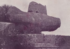 Tipu