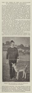 Tommy, the Pet Deer of the 4th Battalion Worcestershire Regiment