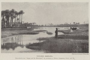 Towards Sakkara by English Photographer