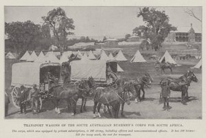 Transport Wagons of the South Australian Bushmen