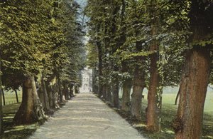 Trinity College, the Avenue by English Photographer