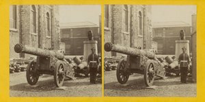 Trophy of Guns by English Photographer