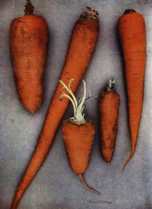 Types of Carrot