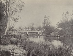 Undercliffe Bridge, Cooks River