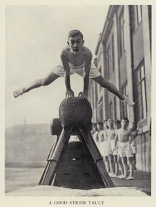 Vaulting: A good stride vault by English Photographer