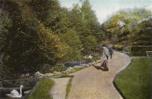 View in Ventnor Park by English Photographer