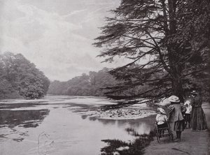 Wanstead Park by English Photographer