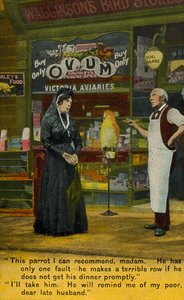 Widow buying a parrot from a pet shop by English Photographer