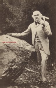 William Ewart Gladstone by English Photographer