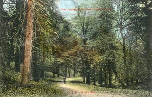 Windsor Great Park, Virginia Water