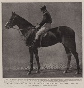 Winkfields Pride, the Winner of the Cambridgeshire Stakes by English Photographer