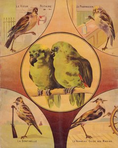 4th of cover: couple of birds and others birds, english by English School