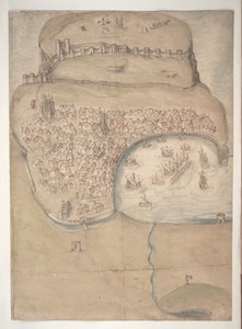 A Coloured Plan or Bird