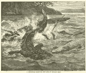A Crocodile carrying off one of Baker