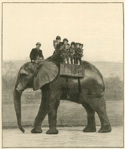 A Farewell Ride on Jumbo by English School