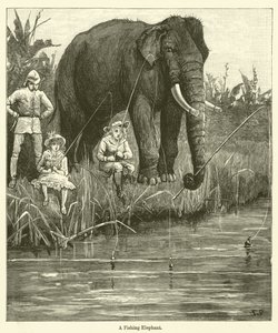 A Fishing Elephant by English School