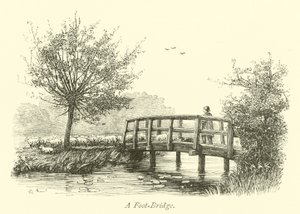 A Foot-Bridge