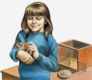 A Girl and Her Hamster