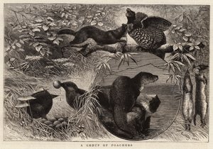 A Group of Poachers by English School