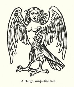 A Harpy, wings disclosed by English School
