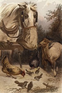 A Hole in the Sack by English School