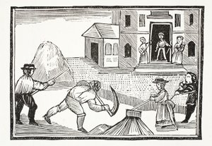 A Man mowing of Grass with a Scyth, which took all before it (illustration)