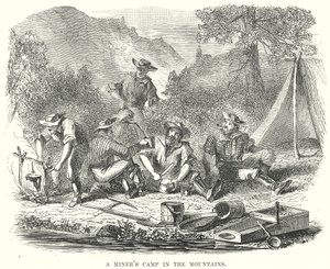 A Miner