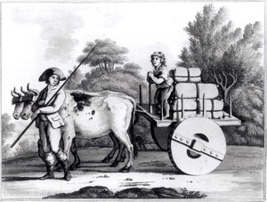 A Portuguese Farm, from A General View of the State of Portugal by James Murphy, published 1797 by English School