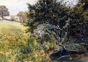 A Shady Stream
